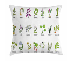 Educational Herbs Design Pillow Cover