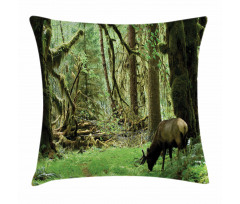 Roosevelt Elk in Park Pillow Cover