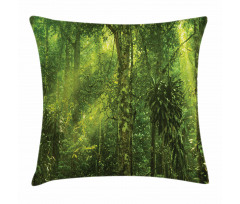 Sun Beams Tropic Forest Pillow Cover