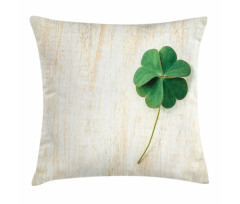 Close up Photo of Shamrock Pillow Cover