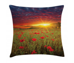 Meadow Poppies Sky Pillow Cover