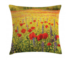 Field with Poppies Farm Pillow Cover