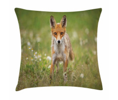 Young Curious Coyote Animal Pillow Cover