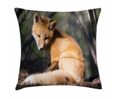 Young Coyote in Forest Sunrays Pillow Cover