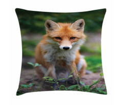 Young Coyote Photo Pillow Cover