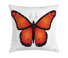 Big Monarch Breed Moth Pillow Cover