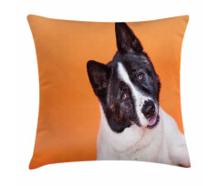 Akita on Orange Pillow Cover