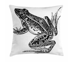 Dotted Exotic Amphibian Breed Pillow Cover