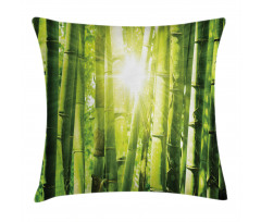 Sun Beams in Wild Jungle Pillow Cover