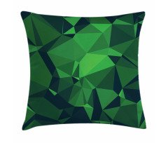 Abstract Poly Pillow Cover