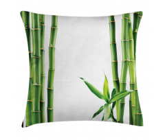 Branches of Bamboo Plant Pillow Cover