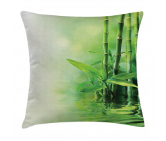Spa Bamboos Trees Pillow Cover