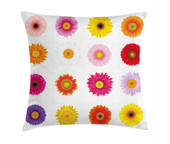 Colorful Petals Love Pillow Cover