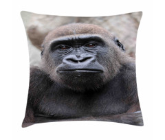 Close up Young Male Gorilla Pillow Cover