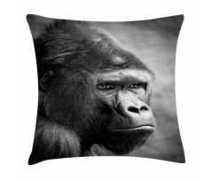 Close up Orangutan Portrait Pillow Cover