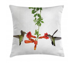 Hummingbird Nectar Sip Pillow Cover