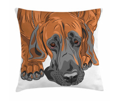 Sad Looking Dog Cartoon Pillow Cover