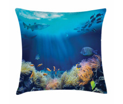 Various Fish Nautical Pillow Cover