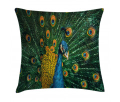 Portrait of the Peacock Pillow Cover