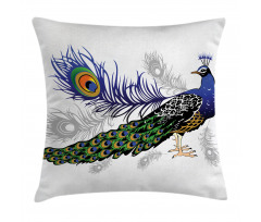 Wild Peacock Feather Pillow Cover