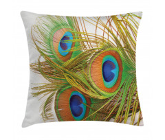 Modern Peacock Feathers Pillow Cover