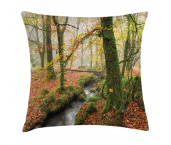 Misty Woods Cornwall Pillow Cover