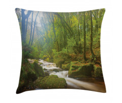 Forest at Golitha Falls Pillow Cover