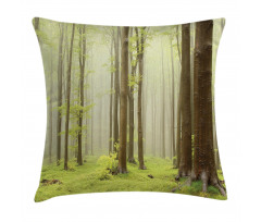 Misty Beech Forest Photo Pillow Cover