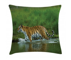 Siberian Tiger Panthera Pillow Cover