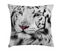 Winter White Tiger Pillow Cover