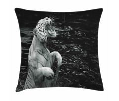 Exotic White Tiger Pillow Cover