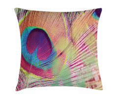 Colorful Macro Plume Photo Pillow Cover