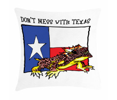 American Texas City Pillow Cover