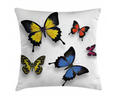 Nature Moths Wings Pillow Cover