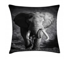 Exotic Wildlife Elephant Pillow Cover