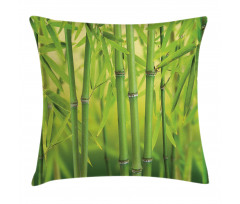 Bamboo Sprout Stem Forest Pillow Cover