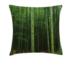 Exotic Bamboo Tree Forest Pillow Cover