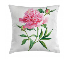Vintage Peony Pillow Cover