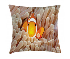 Bali Indonesia Fishes Pillow Cover