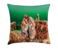 Octopus in Water Pillow Cover