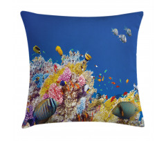 Tropical Corals Fish Pillow Cover