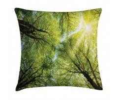 Romantic Beech Trees Pillow Cover