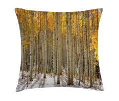 Aspen Tree Woods Scenery Pillow Cover
