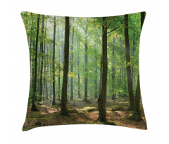 Morning Forest Farmhouse Pillow Cover