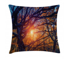 Majestic Trees Woods Pillow Cover