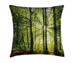 Sunny Forest Springtime Pillow Cover