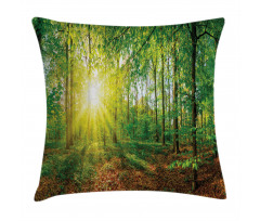 Evening Meadow Greenland Pillow Cover