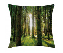Sunny Day in the Forest Pillow Cover