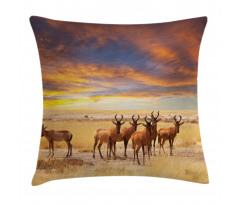 Tropical Animal Pillow Cover