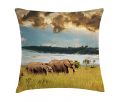 Elephant Family Photo Pillow Cover